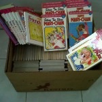 Japanese Comis for Kids in Flores