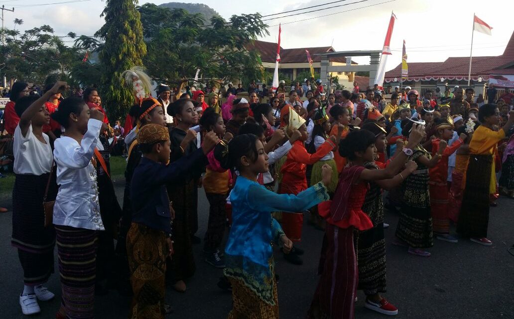 Sosialisasi Perpustakaan Ramah Anak di Kabupaten Ende