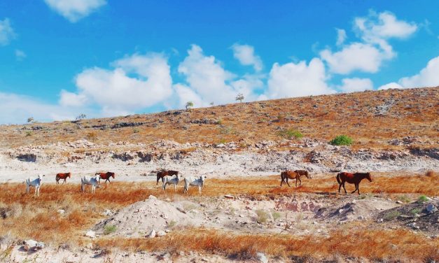 Pelangi di Tanah Humba