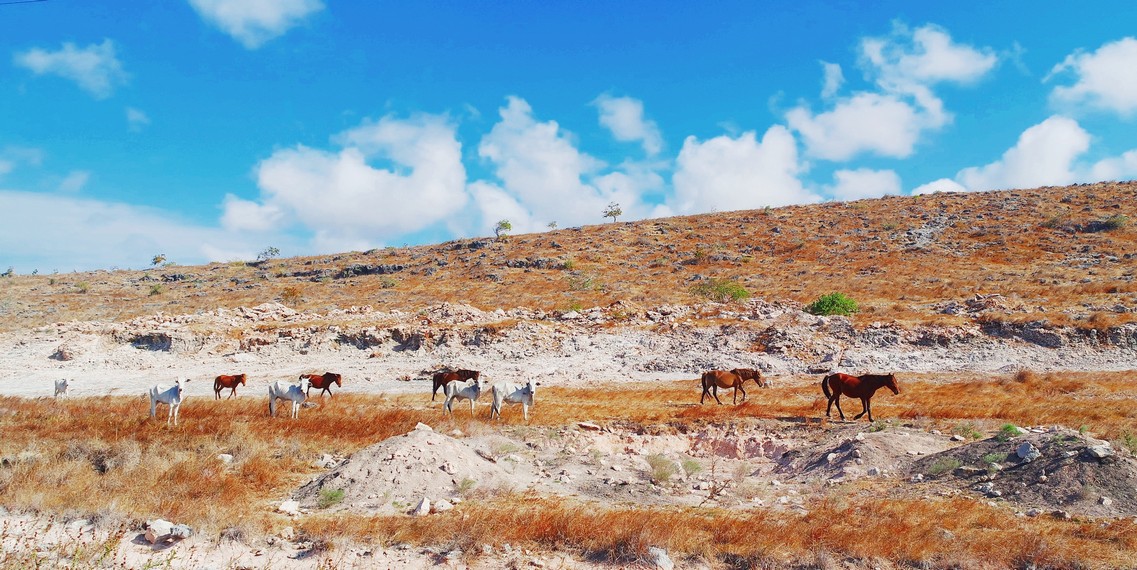 Pelangi di Tanah Humba