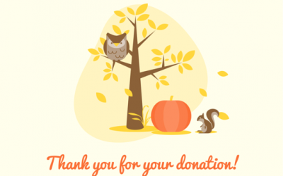 Donation from Mr. Kim Cannon for One Library in Raja Ampat