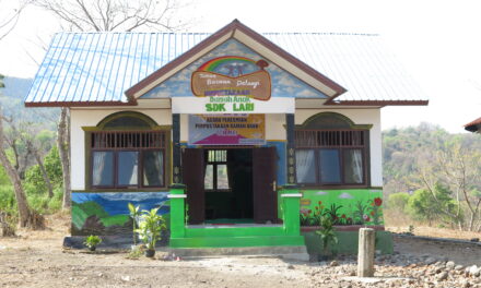 Lembah Pengetahuan Baru untuk Anak – Anak di SDK Lari melalui Perpustakaan Ramah Anak